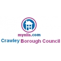 Crawley LLC1 and Con29 Search